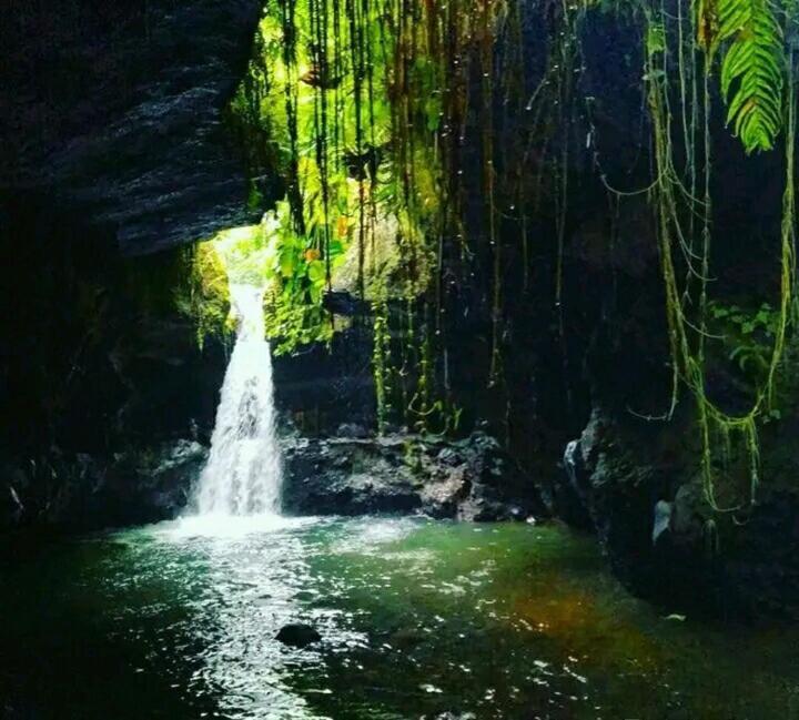 Asan Rinjani Homestay Tetebatu Exterior foto