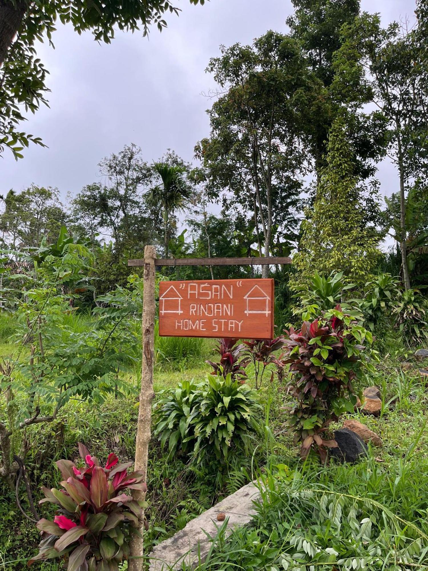 Asan Rinjani Homestay Tetebatu Exterior foto