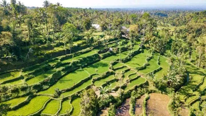 Asan Rinjani Homestay Tetebatu Exterior foto