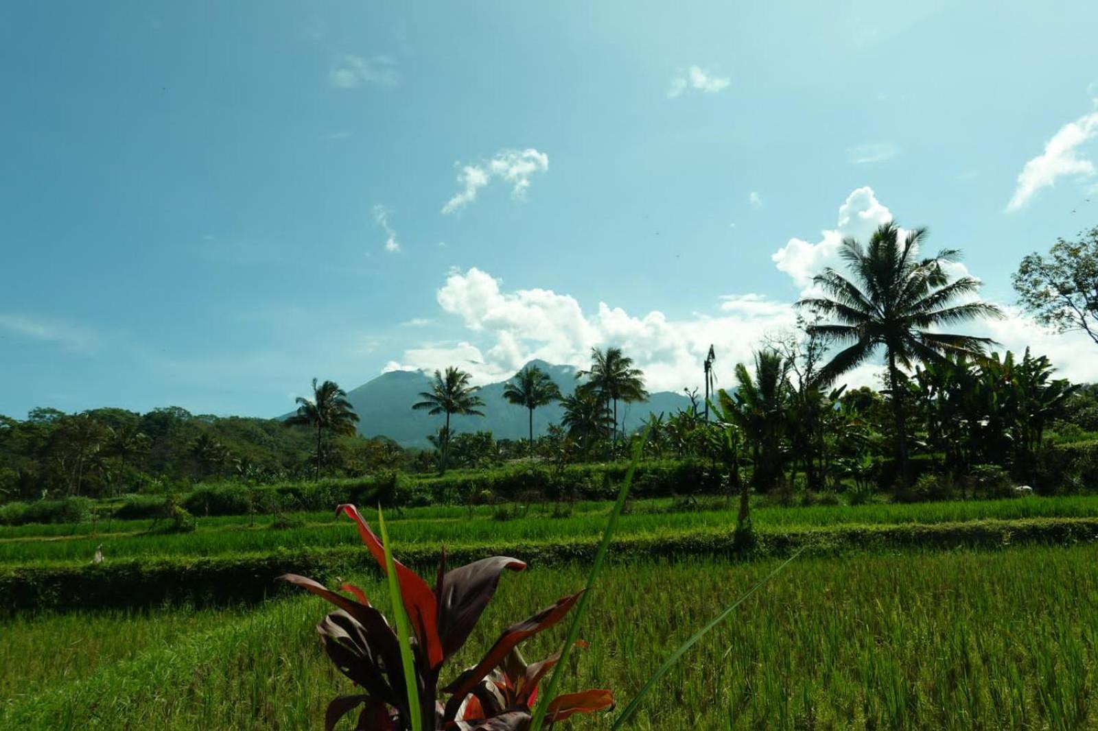 Asan Rinjani Homestay Tetebatu Exterior foto
